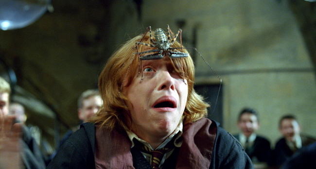 Ron Weasley ESFP | Harry Potter #MBTI #ESFP