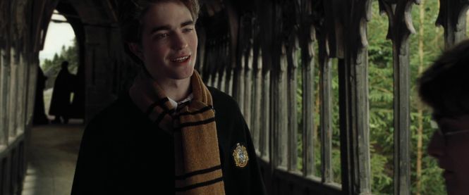 Cedric Diggory ISFJ | Harry Potter #MBTI #ISFJ